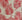 CP-3527