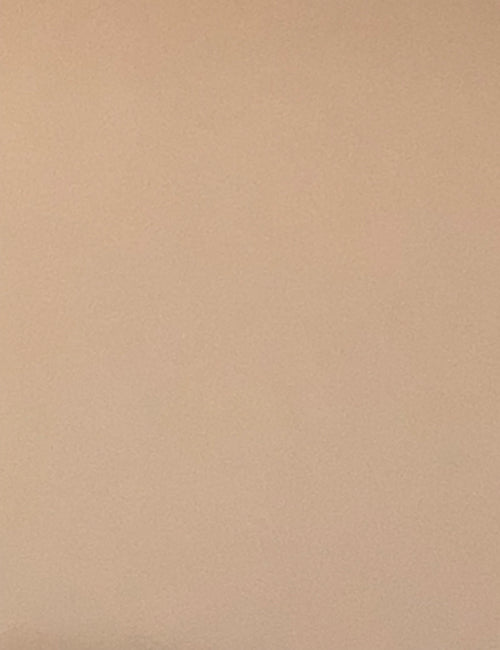 CP-1004