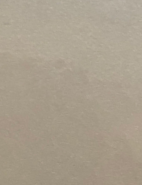 CP-1005
