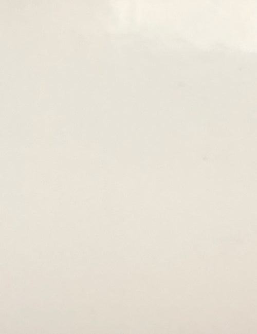 CP-1007