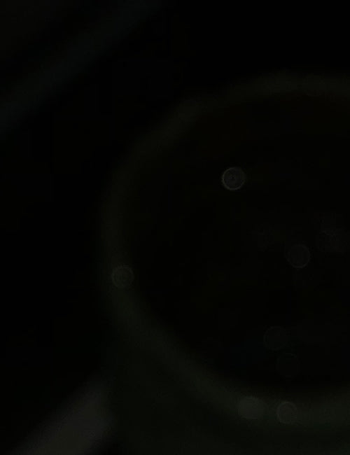 CP-1010