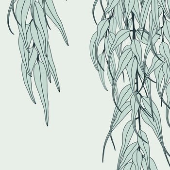 Branches