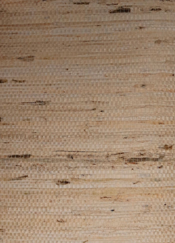 Arrowroot