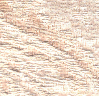 La Dogaressa (Fossil)